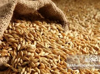 تامین و توزیع نهاده ها اما،بازار مرغ و تخم مرغ در وضعیت شکننده