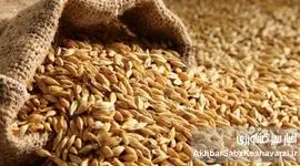 تامین و توزیع نهاده ها اما،بازار مرغ و تخم مرغ در وضعیت شکننده