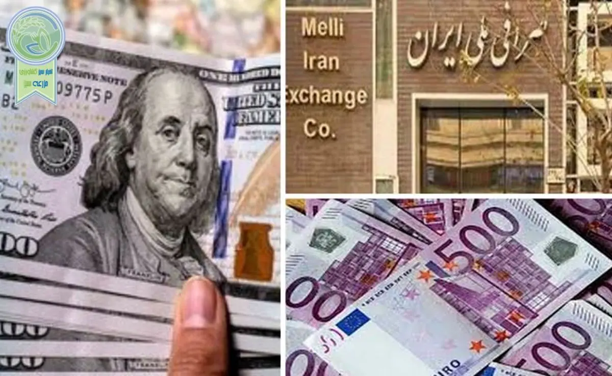 قیمت دلار و یورو در صرافی ملی امروز سه‌شنبه ۱ خرداد ۱۴۰۳

