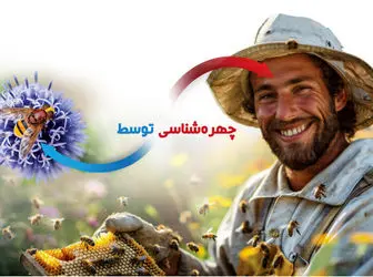 چهره‌شناسی توسط زنبورعسل