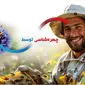 چهره‌شناسی توسط زنبورعسل
