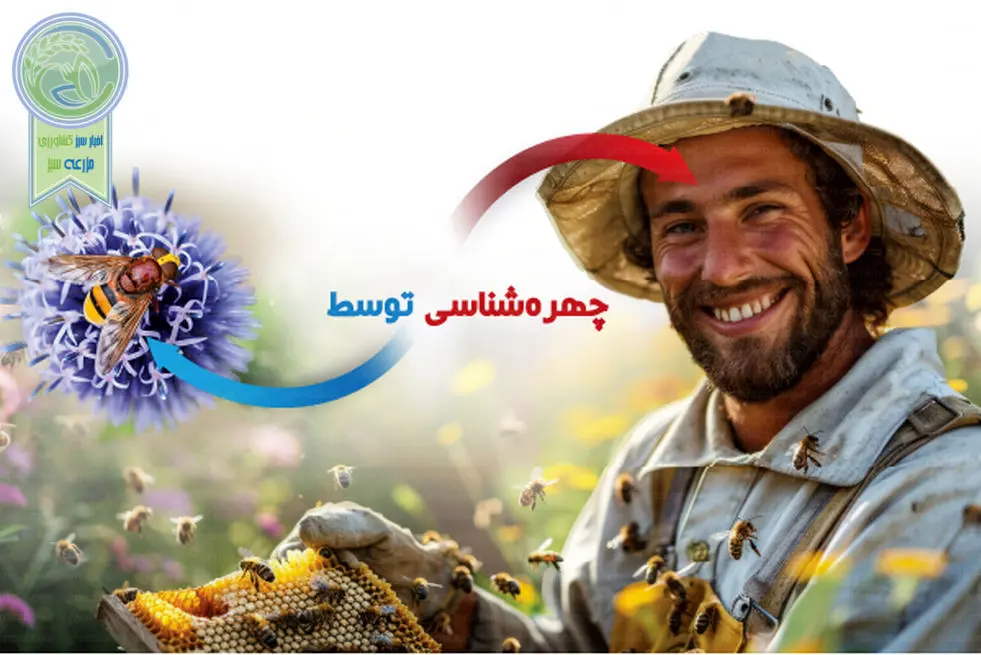 چهره‌شناسی توسط زنبورعسل
