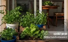 از چند مشت خاک در بالکن تا سبزی روزانه روی سفره خانواده