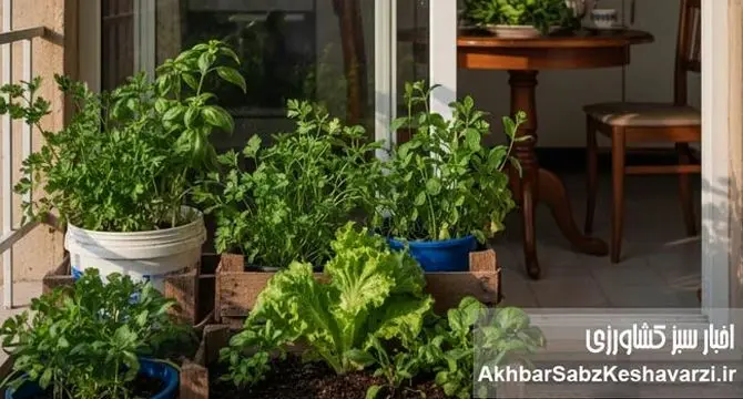 از چند مشت خاک در بالکن تا سبزی روزانه روی سفره خانواده