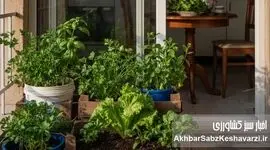 از چند مشت خاک در بالکن تا سبزی روزانه روی سفره خانواده
