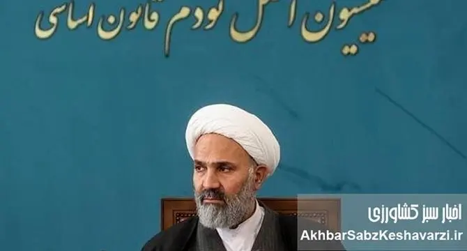 فساد در قیمت‌گذاری برنج؛ وقتی ارز ۲۸۵۰۰ تومانی به سفره مردم نمی‌رسد+ ویدئو