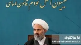 فساد در قیمت‌گذاری برنج؛ وقتی ارز ۲۸۵۰۰ تومانی به سفره مردم نمی‌رسد+ ویدئو