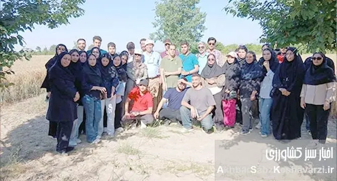 آموزش عملی برای آینده کشاورزی؛ بازدید دانشجویان دانشگاه گرگان از مزرعه نمونه کردکوی+ ویدئو