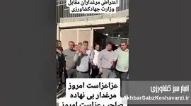 فریاد مرغداران بی‌نهاده؛ روز عزای صنعت طیور ایران+ ویدئو