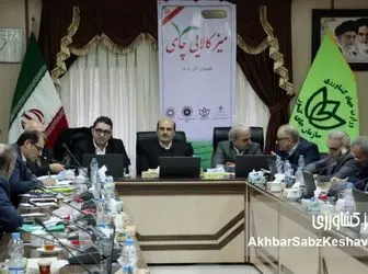 چای پشت دیوار ارز؛ وقتی سیاست‌های ارزی، صادرات را خفه می‌کنند