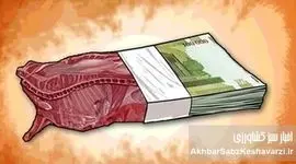 چرا گوشت ۶۰۰ هزار تومانی، جایگزین یارانه ای شد؟