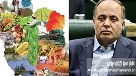 آیا «خودکفایی ۱۰۰ درصدی امنیت غذایی» در ایران یک رؤیای دست‌نیافتنی است؟