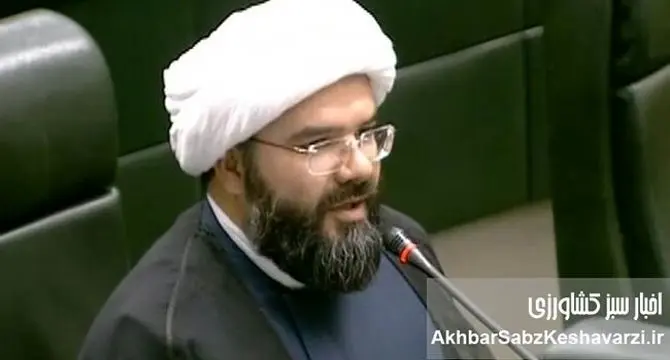 نیکبین: دخالت دولت قیمت‌ها را بالا برد؛ راه‌حل، نظارت بر بازار است