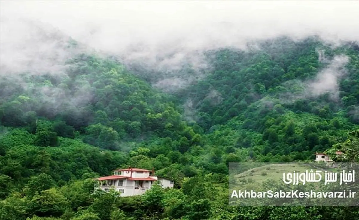 زیبایی شمال ایران در یک کلیپ تصویری: روایتی از زندگی و موسیقی محلی
