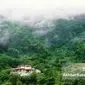 زیبایی شمال ایران در یک کلیپ تصویری: روایتی از زندگی و موسیقی محلی
