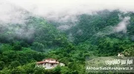 زیبایی شمال ایران در یک کلیپ تصویری: روایتی از زندگی و موسیقی محلی
