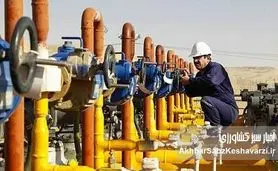 تامین گاز صنایع غذایی؛ خط قرمز شرکت ملی گاز و وعده عدم قطع گاز خانگی در ۱۴۰۴