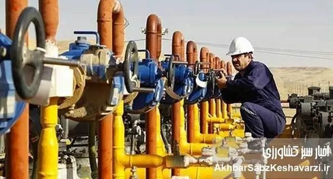 تامین گاز صنایع غذایی؛ خط قرمز شرکت ملی گاز و وعده عدم قطع گاز خانگی در ۱۴۰۴