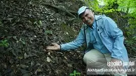  اهمیت حیاتی درختان پهن‌برگ جنگل النگدره گرگان در مهار سیلاب+ویدئو