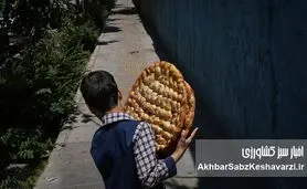 جنگ بر سر یک لقمه نان: همه از «چرخه نان» ناراضی‌اند؟
