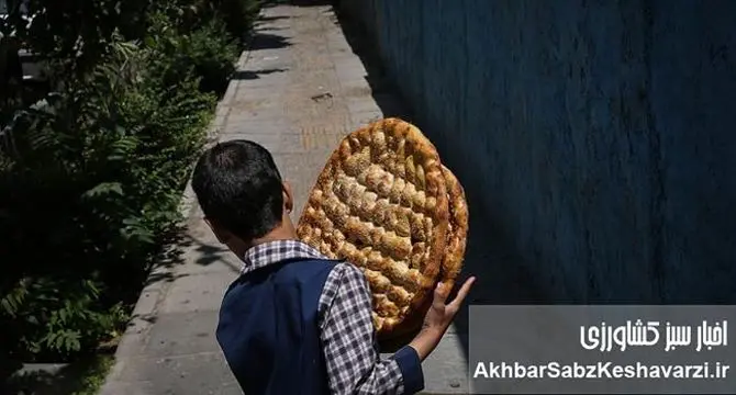 جنگ بر سر یک لقمه نان: همه از «چرخه نان» ناراضی‌اند؟