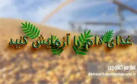 غذای دام را آزمایش کنید؛ تصمیمی ساده با سودی بزرگ