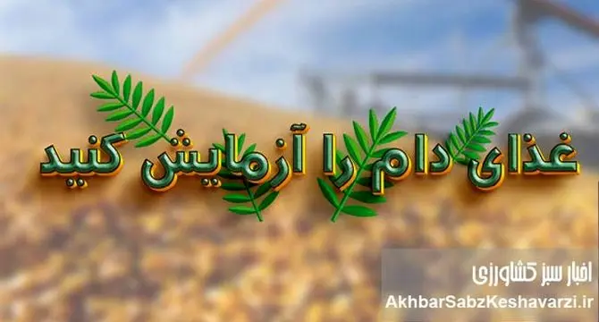 غذای دام را آزمایش کنید؛ تصمیمی ساده با سودی بزرگ