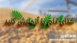 غذای دام را آزمایش کنید؛ تصمیمی ساده با سودی بزرگ