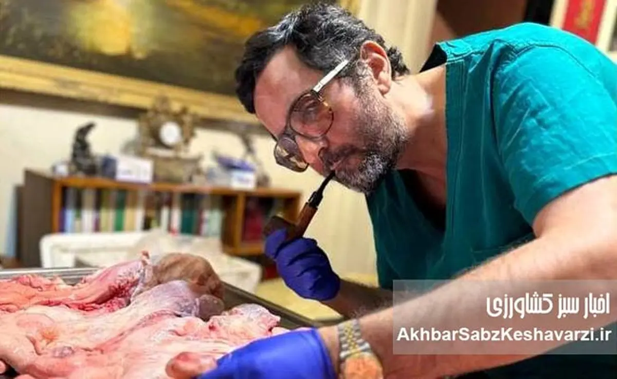 بازخوانی هشدار دکتر رضا کسروی درباره سقوط علمی و مدیریتی در نظام دامپزشکی کشور