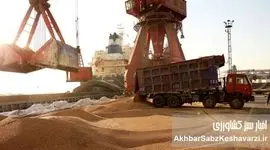 ذخایر استراتژیک کشور به زیر ۱۰ درصد رسید! خطری که امنیت غذایی را تهدید می‌کند