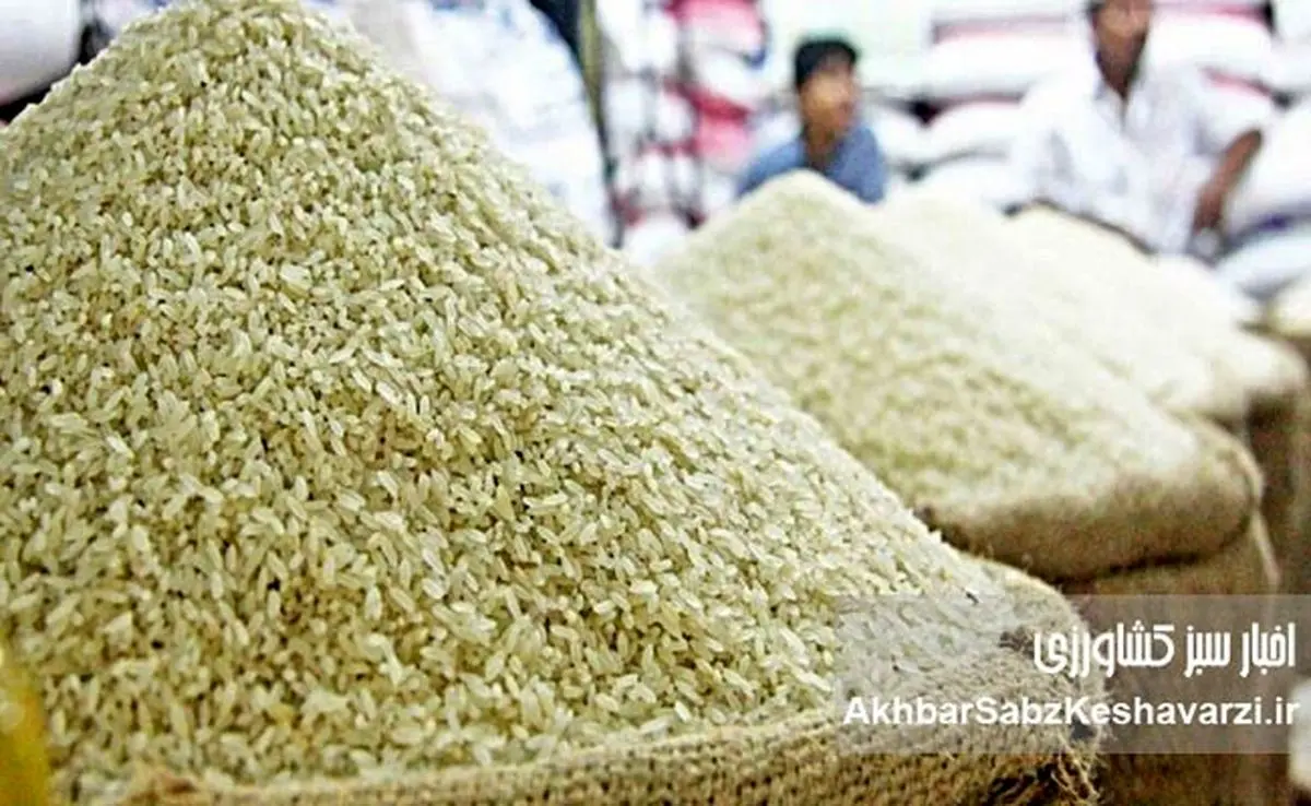 کف قیمتی برنج مشخص شد؛ چرا خرید امروز می‌تواند به‌صرفه نباشد؟