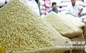 کف قیمتی برنج مشخص شد؛ چرا خرید امروز می‌تواند به‌صرفه نباشد؟