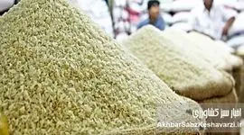 کف قیمتی برنج مشخص شد؛ چرا خرید امروز می‌تواند به‌صرفه نباشد؟