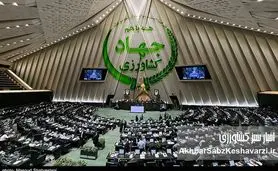 مجلس شورای اسلامی؛ به داد کشاورزی و امنیت غذایی کشور برسید