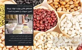امضاهای طلایی وزارت جهاد چگونه حبوبات را از سفره مردم حذف کرد؟ / روایتی از نابسامانی واردات و گرانی افسارگسیخته