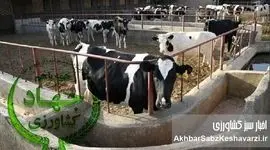 از مولدکُشی تا خالی شدن قفسه‌های فروشگاه‌ها+ویدئو
