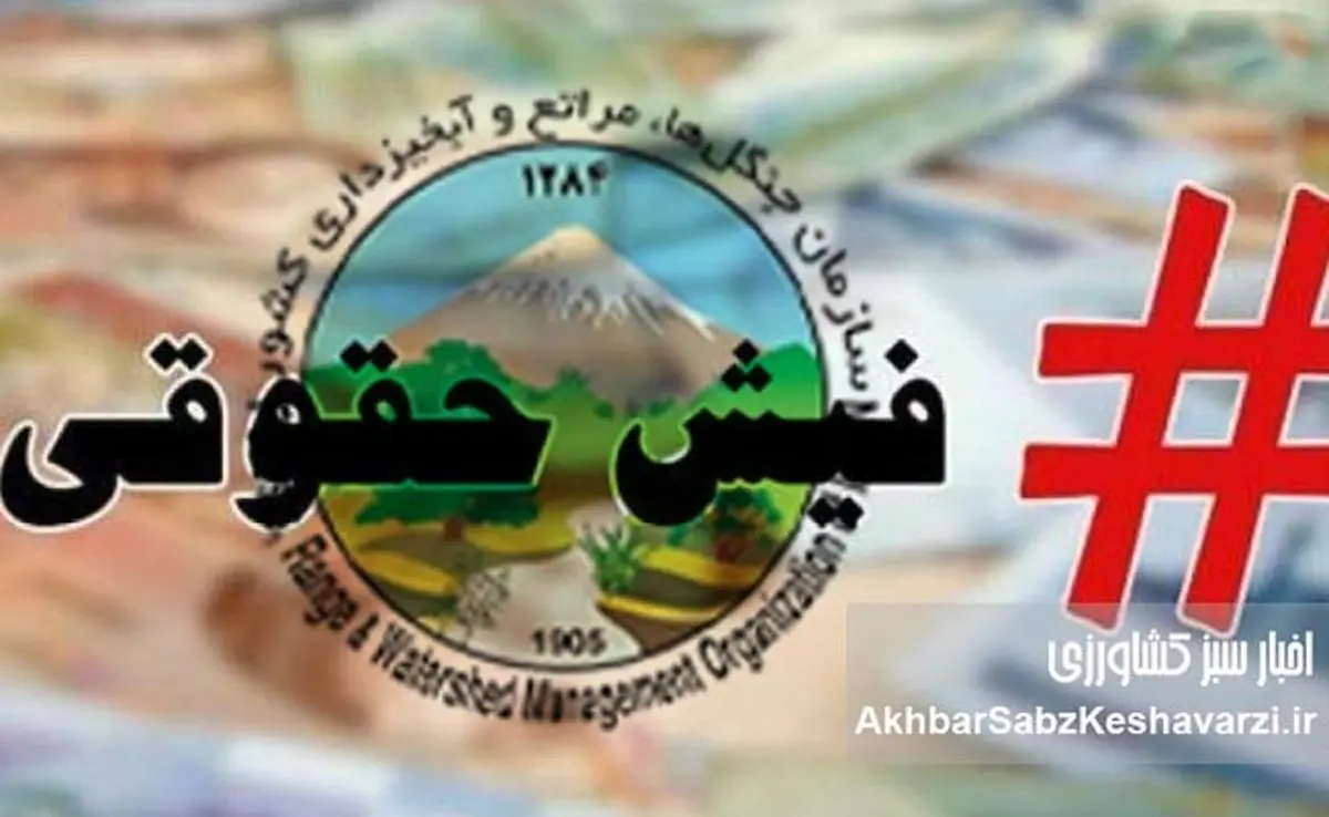 حقوقهای نجومی در منابع طبیعی: فریاد یک استاد و سکوت درباره درد جنگلبانان