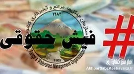 حقوق‌های نجومی در منابع طبیعی: فریاد یک استاد و سکوت درباره درد جنگلبانان
