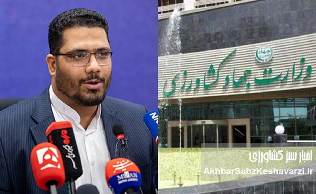 مدیر سازمان میادین تهران: بی‌مدیریتی جهاد کشاورزی، صدای مردم و کشاورز را درآورد!+ ویدئو