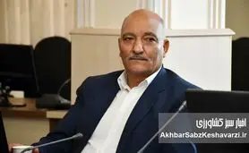 هشدار رئیس بنیاد ملی گندمکاران درباره تهدید امنیت غذایی و ضعف بیمه محصولات کشاورزی