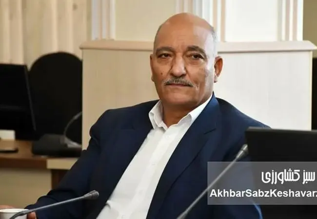 هشدار رئیس بنیاد ملی گندمکاران درباره تهدید امنیت غذایی و ضعف بیمه محصولات کشاورزی