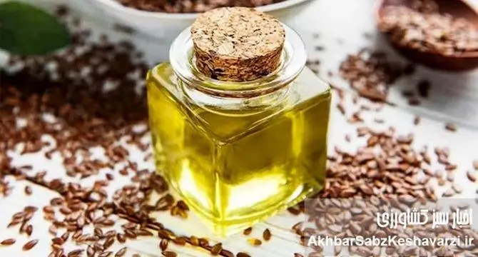 روغن تخم کتان: معجونی طلایی برای تعادل هورمونی و آرامش