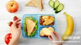 سریع اما مقوی: ۸ ایده جذاب برای یک صبحانه سالم و فست‌فودی