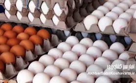 تخم‌مرغ ارزان شد؛ اما سودش به سفره مردم نرسید