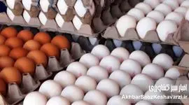 تخم‌مرغ ارزان شد؛ اما سودش به سفره مردم نرسید