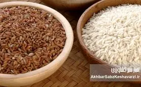 برنج سفید یا برنج قهوه‌ای؟ کدام برای سلامتی بهتر است؟