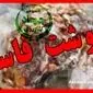 محموله ۱۰۰ تنی گوشت مغولستان پس از رد شدن توسط عراق سر از بازار ایران درآورد+ویدئو