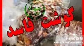 محموله ۱۰۰ تنی گوشت مغولستان پس از رد شدن توسط عراق سر از بازار ایران درآورد+ویدئو