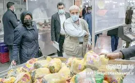 افزایش قیمت مرغ در راه است؟ هشدار تولیدکنندگان درباره آینده بازار