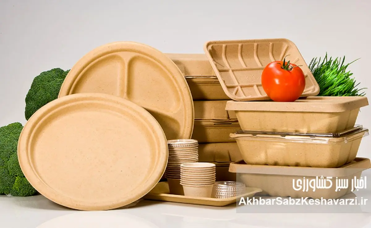 کارگاه‌های زیرپله‌ای تولید ظروف یکبار مصرف؛ هشدار اتحادیه یا زنگ خطر برای سلامت مردم؟